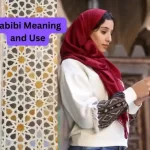meaning of 'habibi'