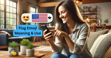 American Flag Emoji meaning and use