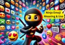 ninja emoji meanings and use